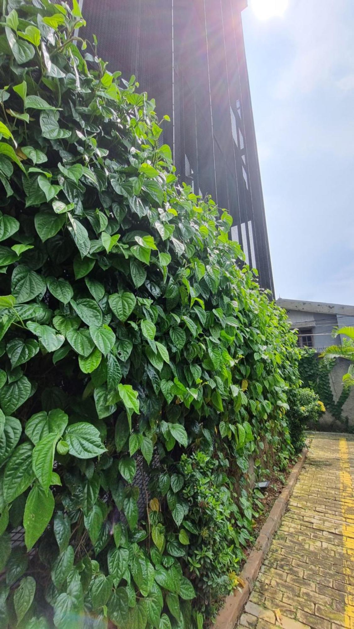 Guest House 555 Nki South Tangerang Exterior foto